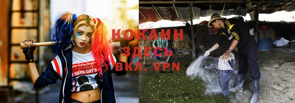 apvp Абаза