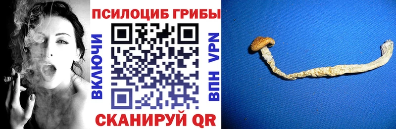 Галлюциногенные грибы мицелий Инза