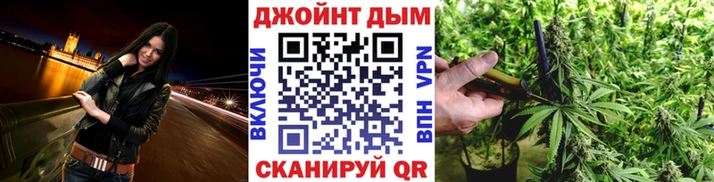 как найти   Инза  Шишки марихуана план 